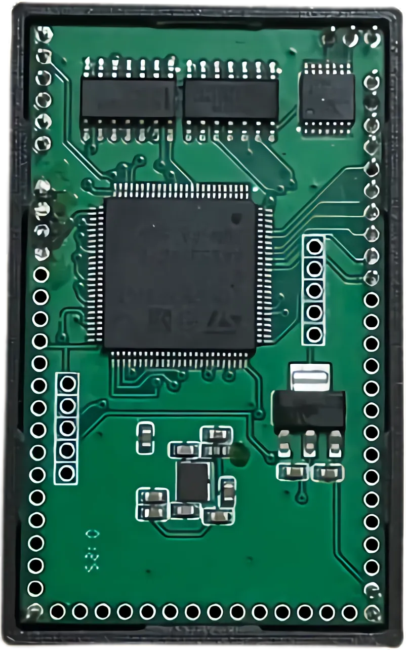 The bare circuit board of an ASG control unit: an automotive microcontroller, supporting chips and rows of connector headers.